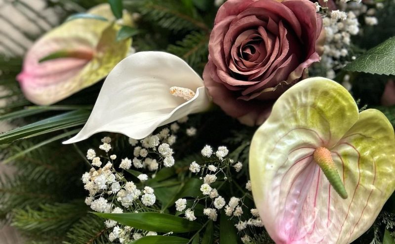 Snapinsta.app_419859739_1783460238822514_7063167254496945049_n_1024